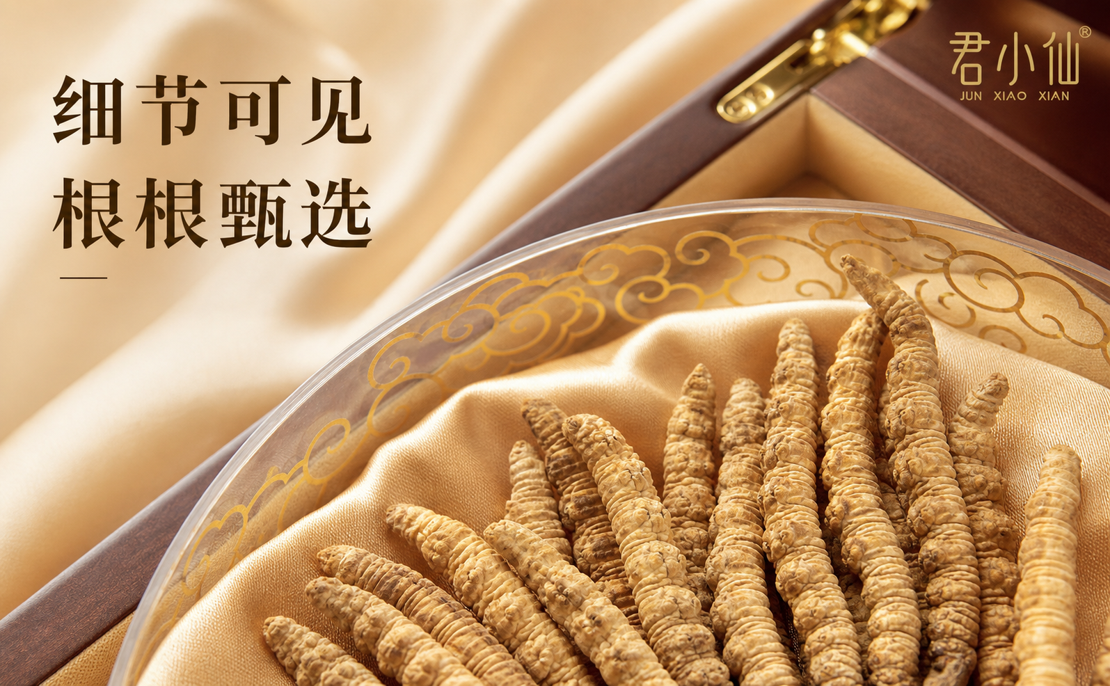 冬虫夏草实物细节