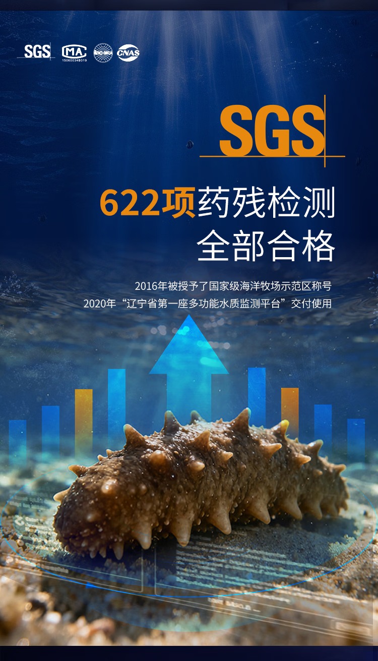 财神岛海参SGS检测说明