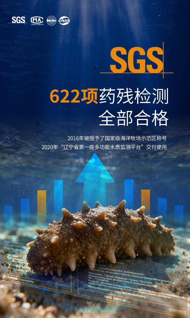 财神岛速发干海参SGS检测说明